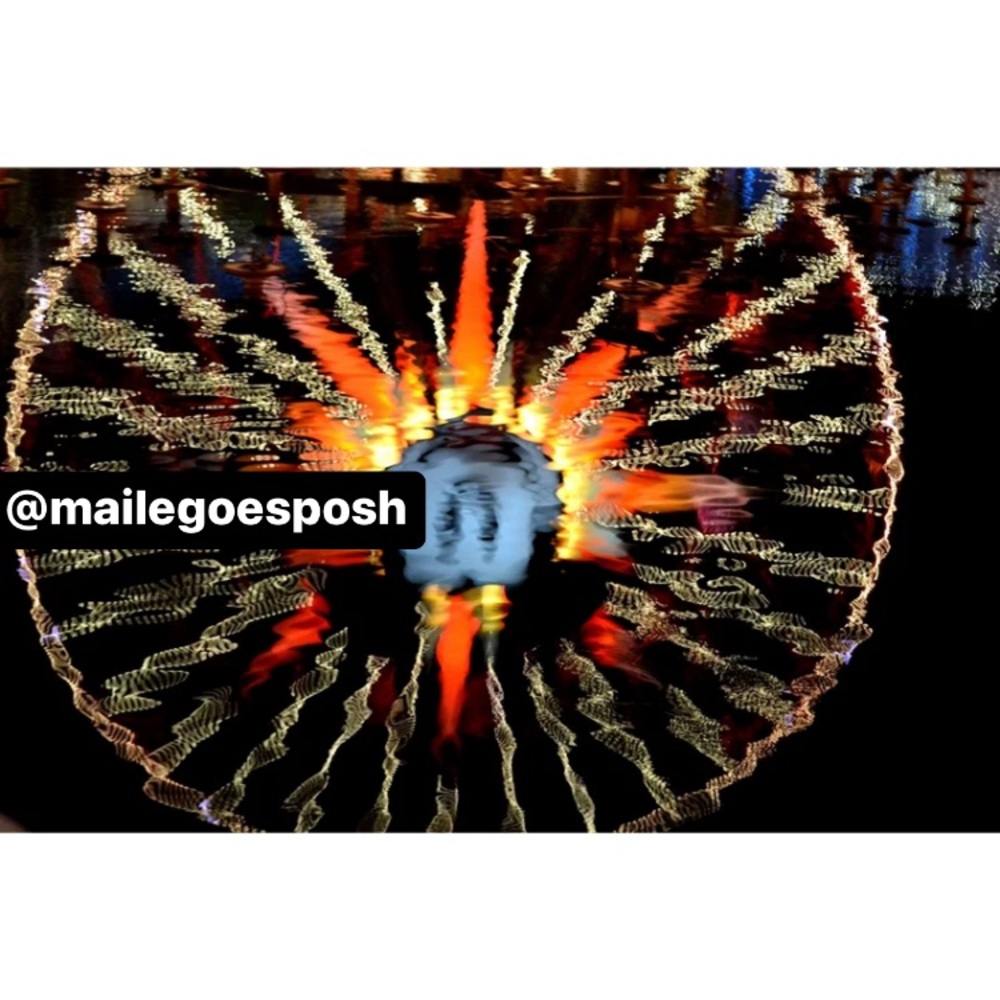 Art Photograph Print Mickey Mouse Ferris Wheel reflection Disneyland 8x10 inch